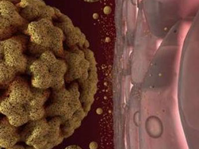 SEXUALITY: Νέα για τον HPV-Μέρος 2ο